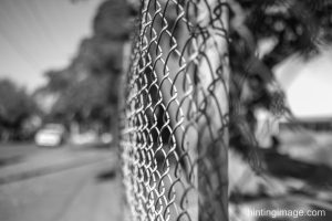 Fences black and white photo